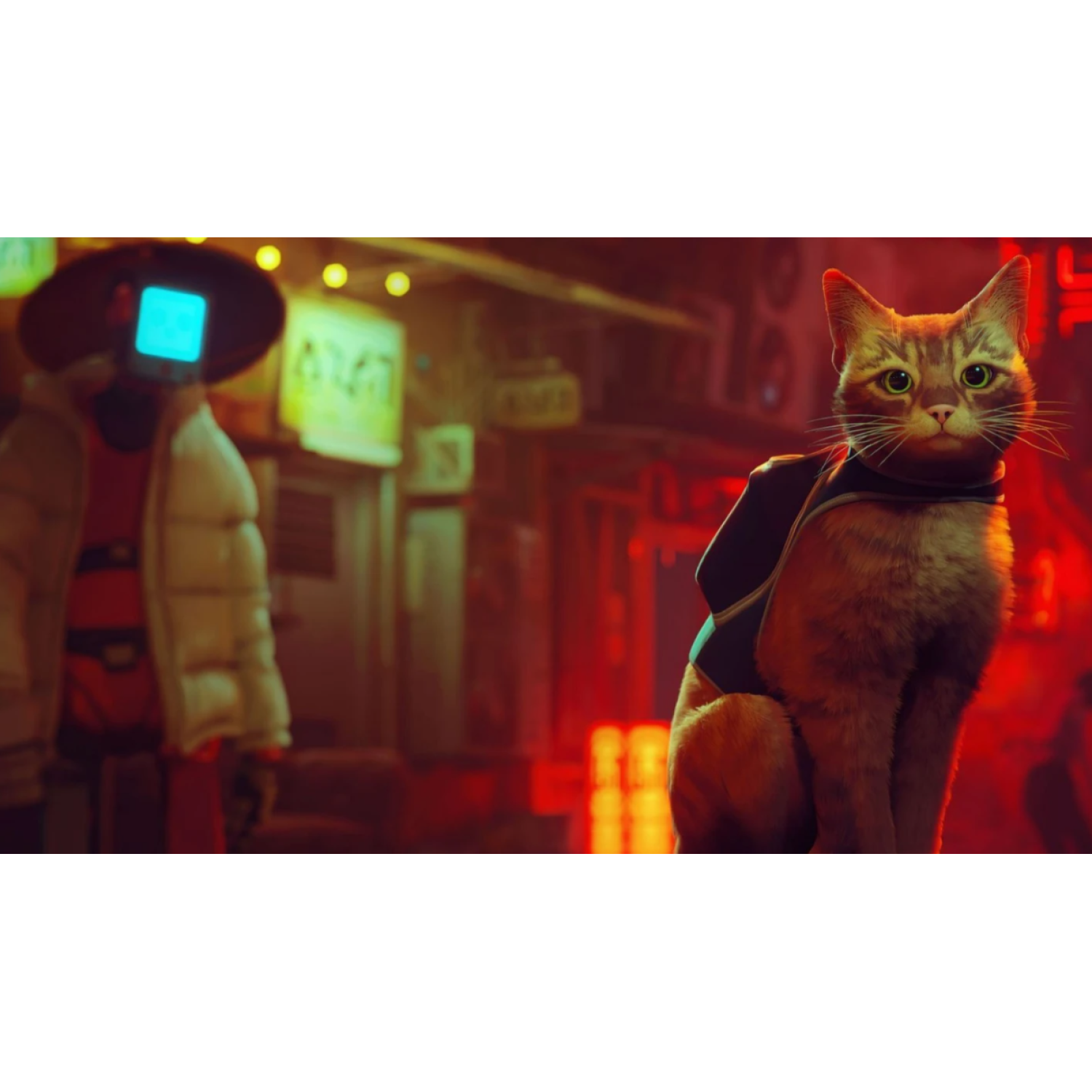 Игра Stray (PS5)