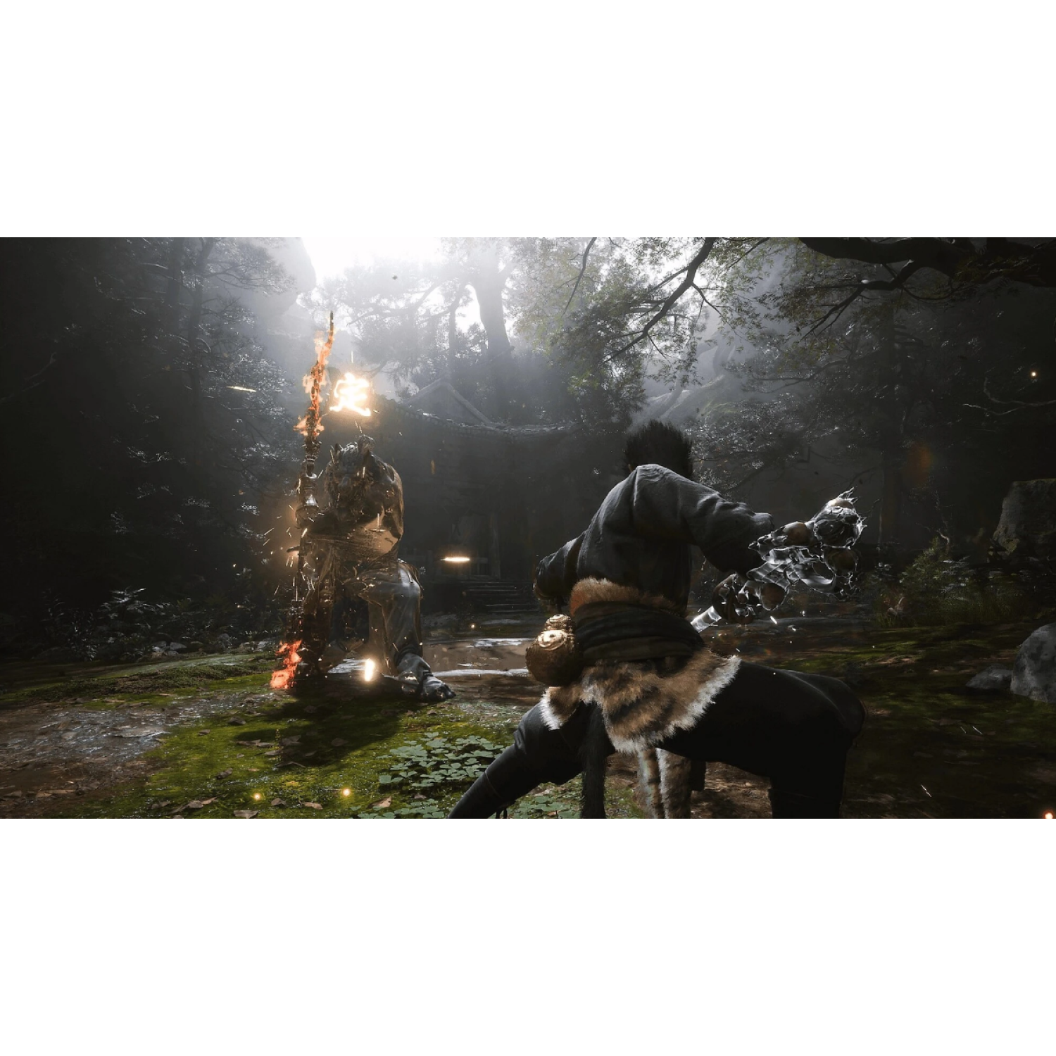 Игра Black Myth Wukong (PS5)