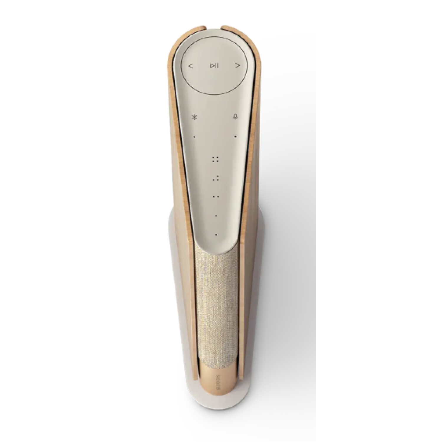 Bang & Olufsen Beosound Emerge Gold Tone
