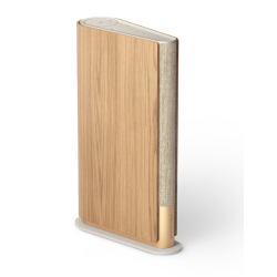 Bang & Olufsen Beosound Emerge Gold Tone
