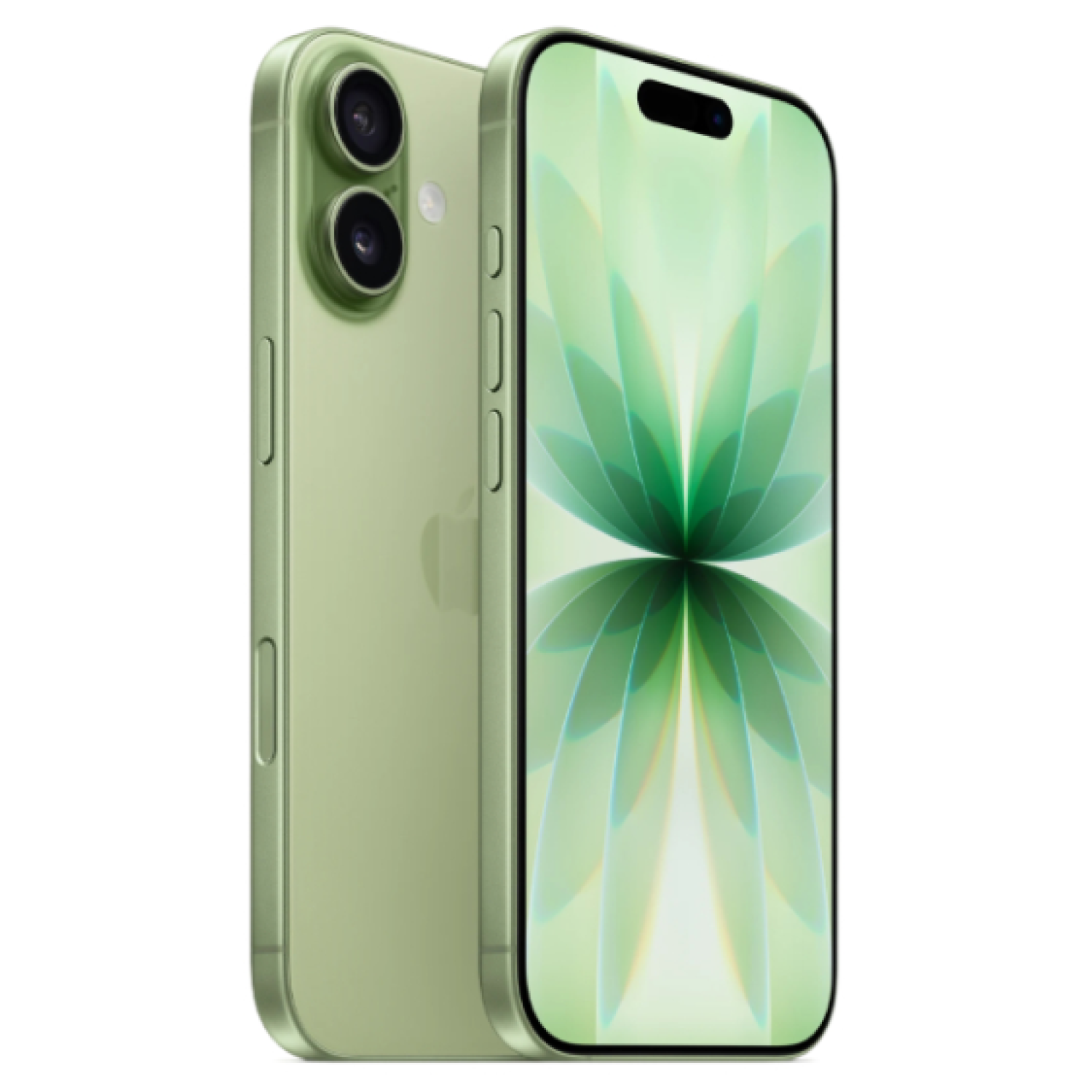 Apple iPhone 17 256 ГБ (eSIM + nano SIM) Зеленый
