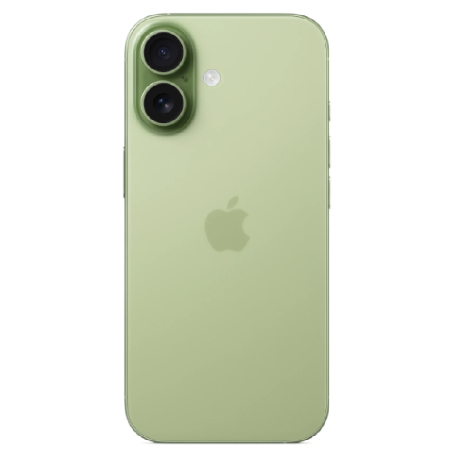 Apple iPhone 17 256 ГБ (eSIM + nano SIM) Зеленый